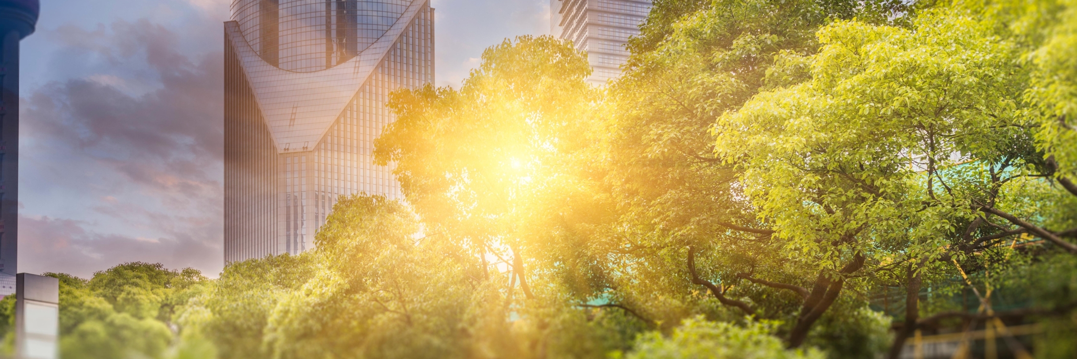 Header image background